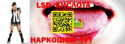шишки Дмитров