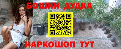 шишки Долгопрудный