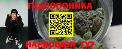 шишки Долгопрудный