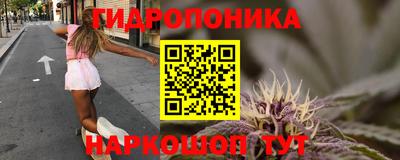 шишки Долгопрудный