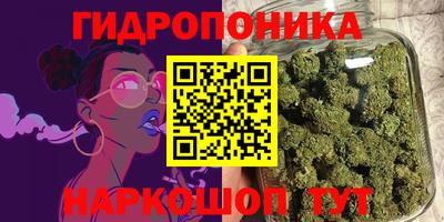 шишки Дмитров