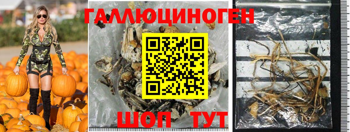 Галлюциногенные грибы Magic Shrooms  Вход с VPN  Астрахань  Галлюциногенные грибы мицелий 